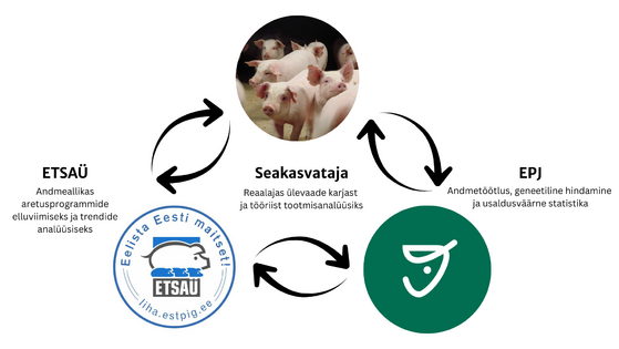 ETSAÜ, loomakasvataja ja EPJ koostöö