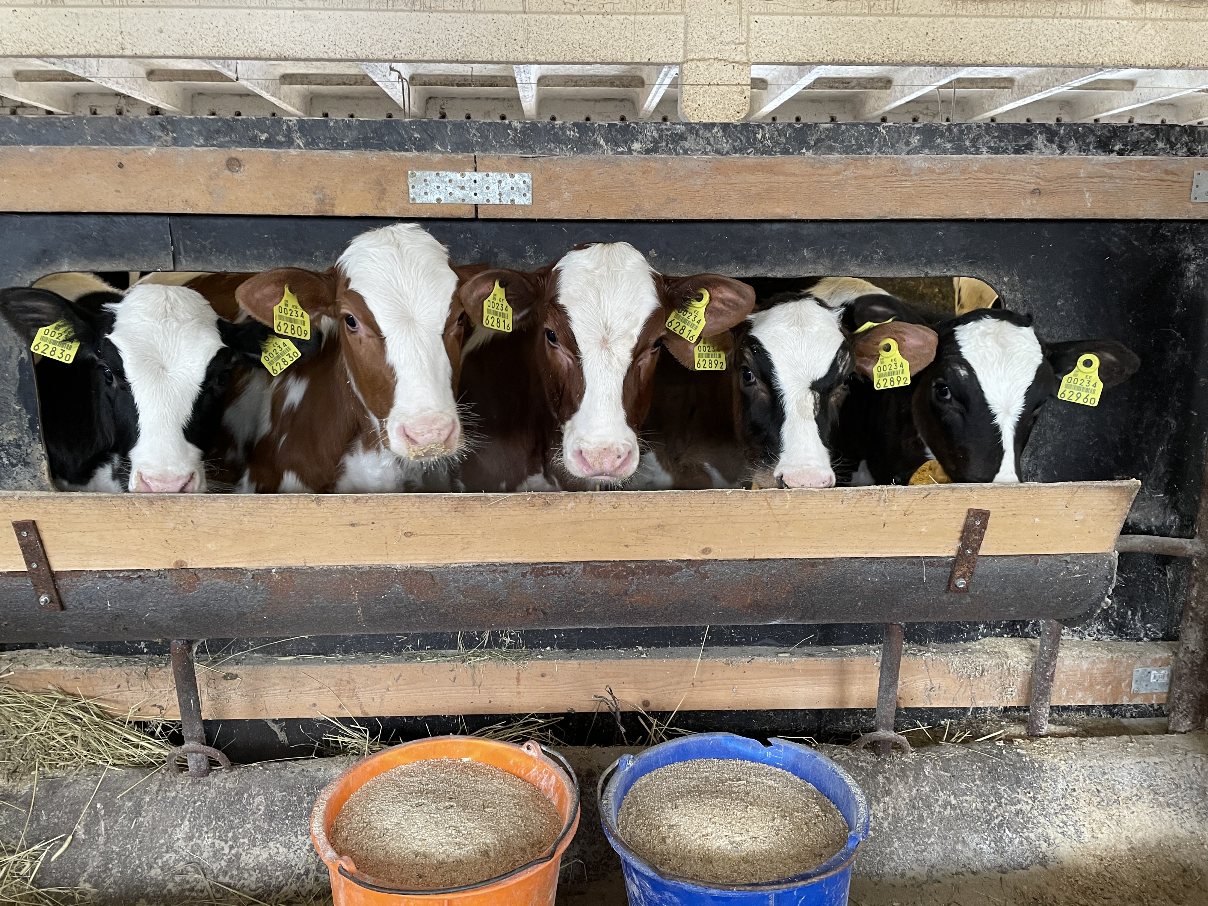 Foto autor: Ksenja Luik (Jõudluskontrolli aastaraamatu 2025 fotokonkursi osaleja)