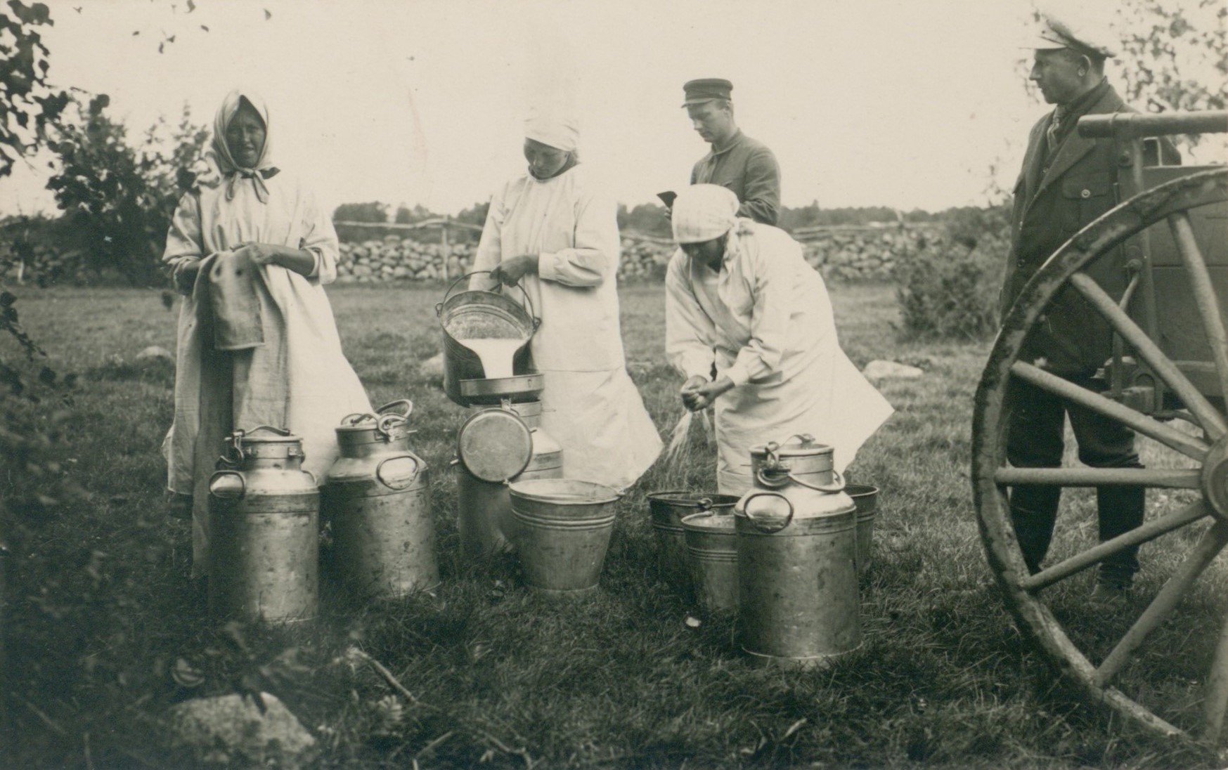 Piima kurnamine ja puhtuse kontrollimine lüpsmise juures Sandla mõisas, Saaremaa 1925 
